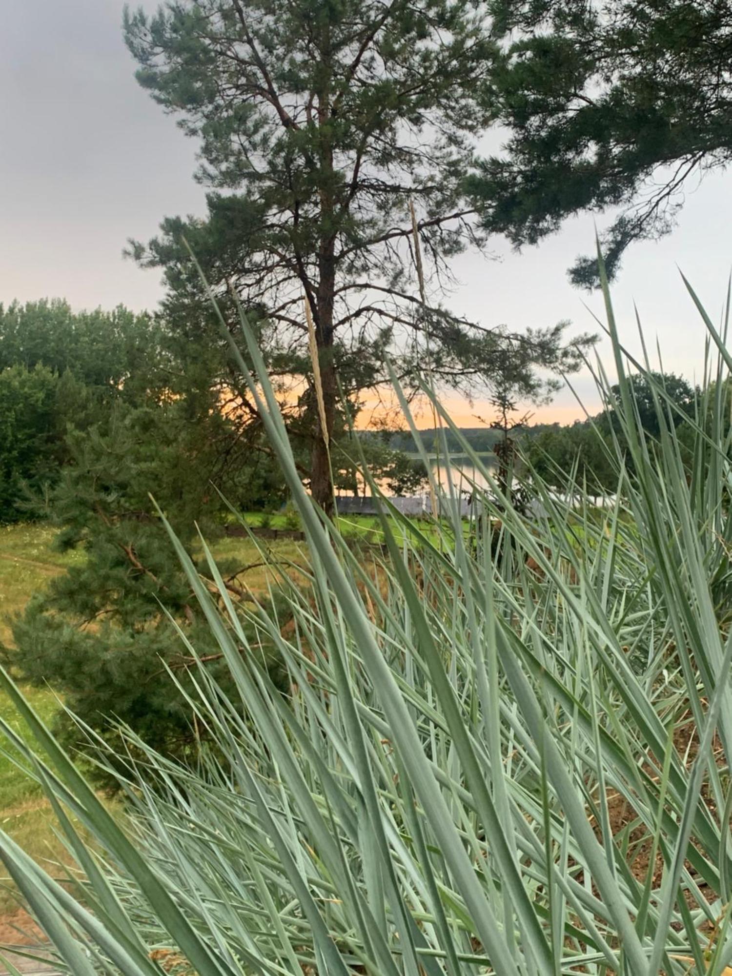 Dom Nad Jeziorem Gaja House Jadamowo Exterior foto